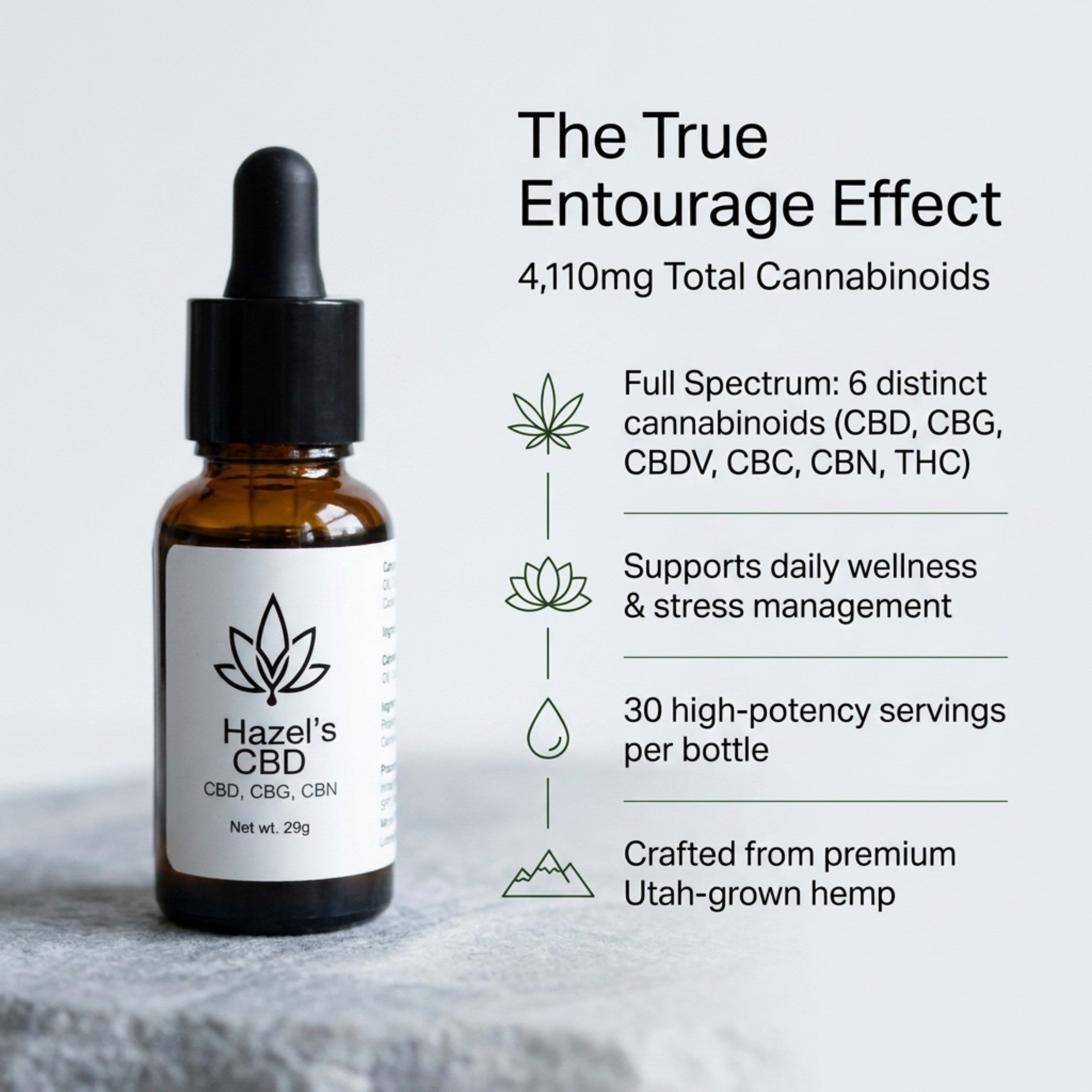 Hazel's CBD Tincture - Full Spectrum Hemp Oil for Daily Wellness